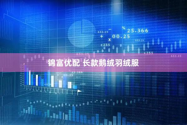 锦富优配 长款鹅绒羽绒服