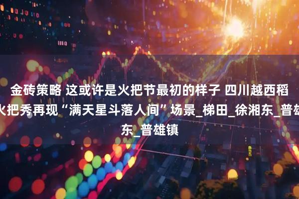 金砖策略 这或许是火把节最初的样子 四川越西稻田火把秀再现“满天星斗落人间”场景_梯田_徐湘东_普雄镇
