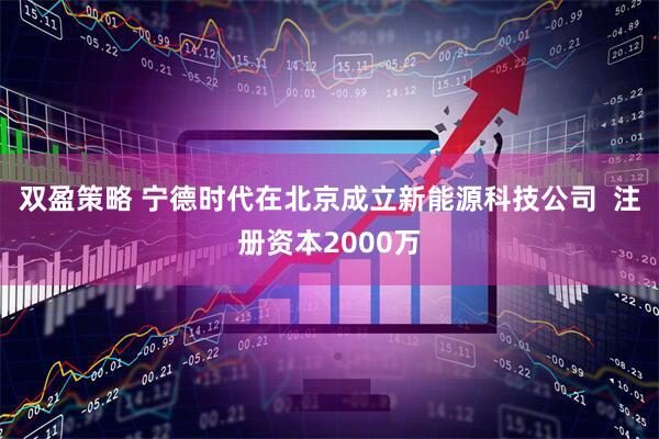 双盈策略 宁德时代在北京成立新能源科技公司  注册资本2000万